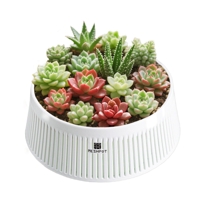 新款大口径多肉专用控根花盆