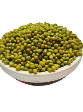 发豆芽专用绿豆生豆芽绿豆水培菜