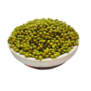 新绿豆发绿豆芽专用中粒绿豆生绿豆芽绿豆豆芽菜非转基因绿豆种子