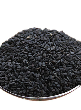 驻马店特产黑芝麻发芽率95%以上