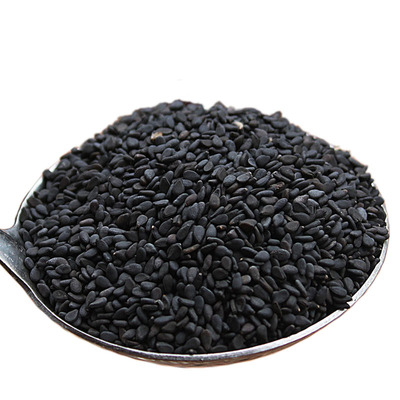 驻马店特产黑芝麻发芽率95%以上