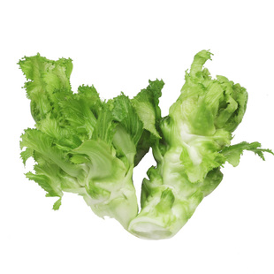 儿菜种子抱子芥儿菜种籽儿菜种孑重庆菜籽蔬菜种籽南方秋季娃娃菜