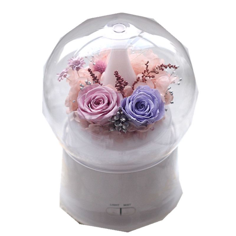 【花纪】永生花diy礼物七彩灯永