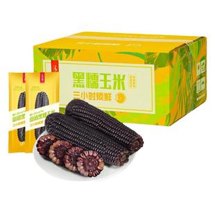 山西特产雁门清高头茬新鲜花糯玉米三小时锁鲜真空包装黑玉米棒子