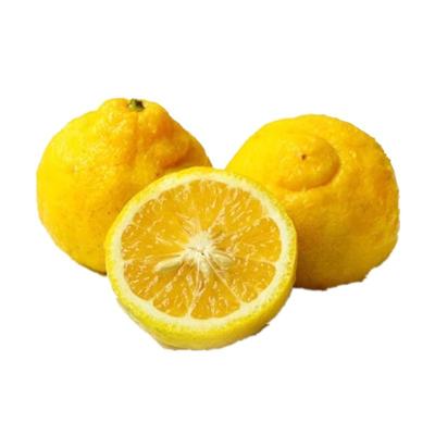 湖南黄金贡柚纯甜无酸10斤包邮