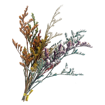 diy花材情人草永生花满天星