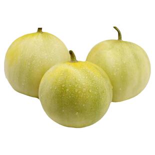 沂蒙山头茬甜瓜小蜜蜂蜜罐甜瓜星甜20网红甜瓜现摘新鲜水果香瓜果