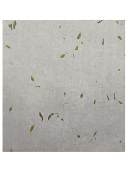 花草本色云龙纤维皮纸书法斗方