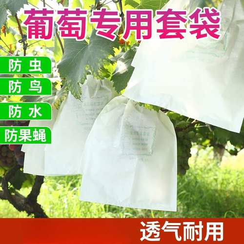 葡萄套袋防鸟防虫防雨水透气抗菌水果枇杷套袋保护葡萄专用袋