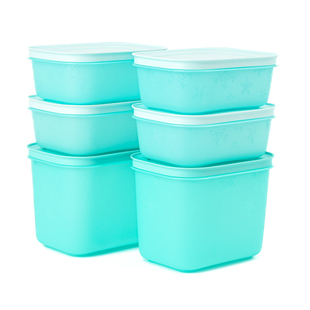 特百惠 雪影新冷冻保鲜盒套装 冰箱冷藏收纳盒干果零食蔬菜储藏盒