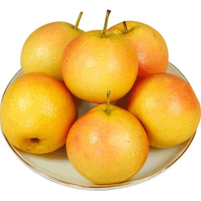 鞍山南果梨5斤包邮新鲜水果