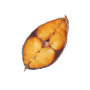 海南马鲛鱼新鲜鲅鱼冷冻深海南海大马交鱼片真空3斤包装顺丰包邮