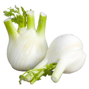 寿光茴香苗秧割茬茴香割完又长味道浓四季盆栽阳台带土球