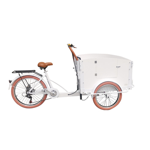 欧纳伯cargo bike接送亲子郊游倒骑自行车带娃神车三轮车可加电动