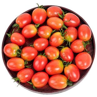 美邻惠享家小番茄千禧果圣女果小柿子新鲜一口爆汁顺丰包邮