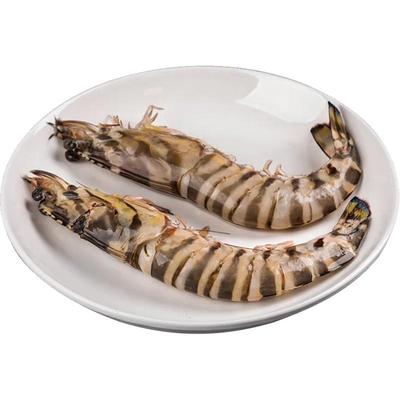 特大竹节虾超高回购率三种尺寸！