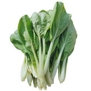 四季甜脆白菜种子小白菜品种矮脚白菜甜脆农家蔬菜种籽优选白菜籽
