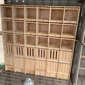 信鸽组合巢箱赛鸽子笼子木质鸽具养殖配对笼实木种鸽调节笼放飞笼