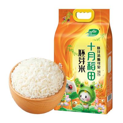 2025新米十月稻田胚芽米