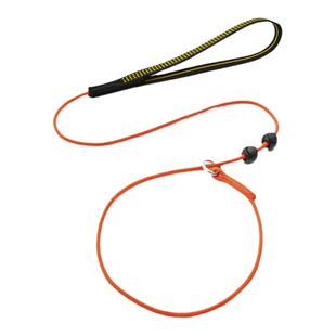 BEAUGO超细一体式专业训犬P链防爆冲P绳金毛狗绳随行细脖圈牵引绳