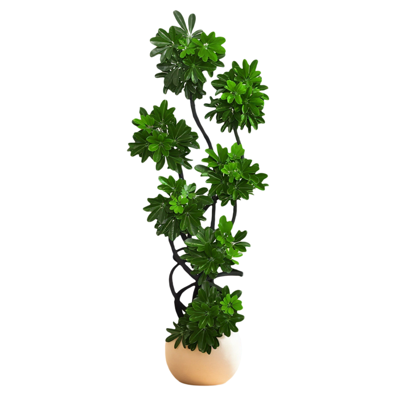 造型鸭脚木客厅绿植高级感