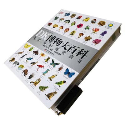 DK系列博物大百科2025新版科普