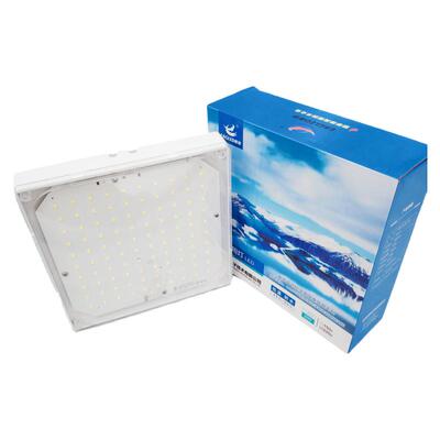 20w冷库LED鹰格三防灯具防水防潮
