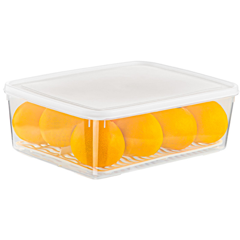 日本冰箱冷冻收纳盒保鲜盒食品级
