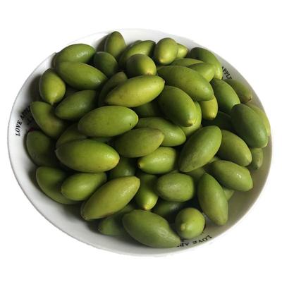 顺丰包邮2025新青橄榄上市老树新鲜青果喉咙疼生吃煲汤潮汕炖猪肚