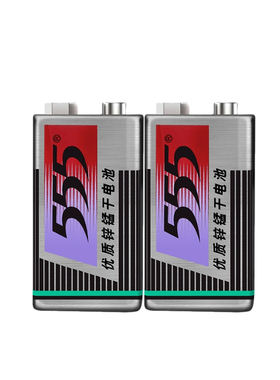 555牌9V方块电池体温枪烟雾报警器话筒万用表麦克风遥控器电池