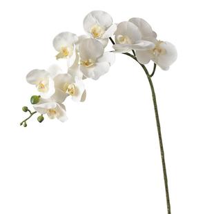 高枝仿真9头手感蝴蝶兰高档客厅假花装饰电视柜插花婚庆布置花艺