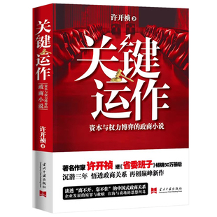 关键运作政商关系资本与权利的博弈政商小说许开祯著