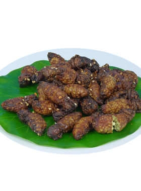 昆虫宴食用昆虫高蛋白