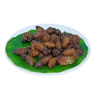 蚕蛾满籽母蚕蛾大蚕蛹蜕变的嫩蛾子油炸虫子食用昆虫宴