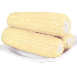 2025年头茬东北白糯玉米甜糯粘玉米真空装非转基因黏苞米粗粮代餐