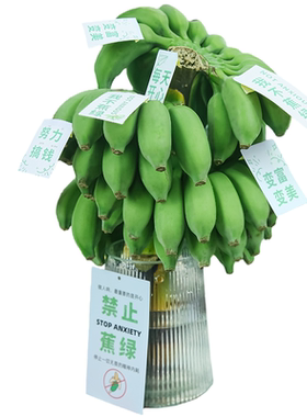 【上班搭子】10W+购买禁止蕉绿
