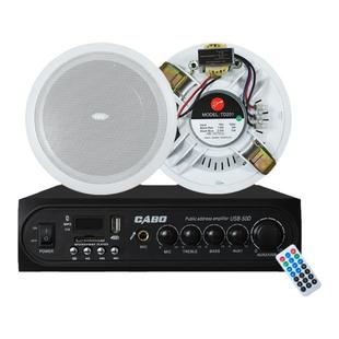 Hivi/惠威 TD202门店家用公共广播吸顶喇叭天花吊顶音箱功放套装