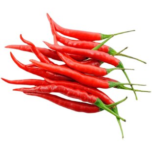 朝天辣椒种子四季小米辣椒种籽超辣盆栽阳台春秋高产蔬菜种孑大全