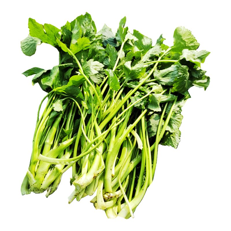 新鲜鸭儿芹大叶芹野蜀葵鸭脚菜