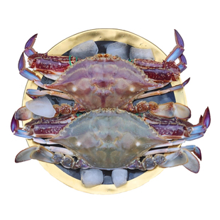 舟山梭子蟹新鲜生鲜冷冻部分次日达特大螃蟹蜞飞蟹子海蟹白蟹海鲜