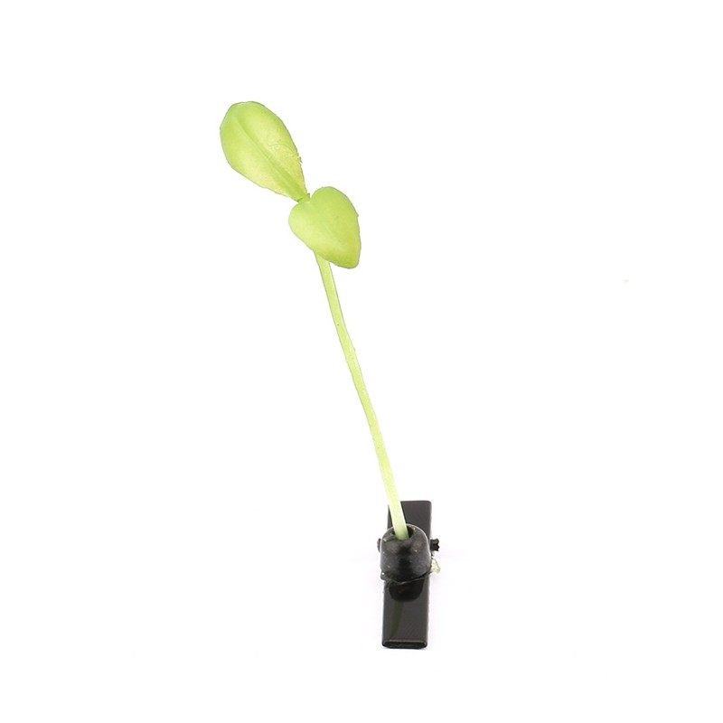 小草发夹气氛卖萌神器豆芽卡直播间道具搞怪创意头饰儿童头上长草
