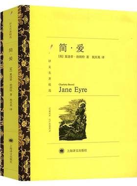 译文名著精选 简爱 正版完整原著无删减 勃朗特著祝庆英译 九年级下册非必读世界名著儒林外史初中生初三课外阅读书籍人民文学教育
