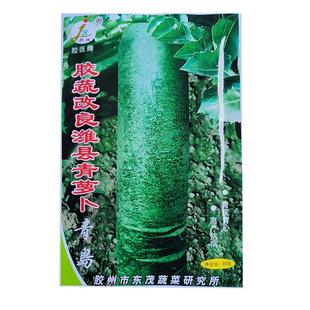 萝卜种子大全蔬菜种孑根菜种子凤梨萝卜白萝卜心里美萝卜种籽优质