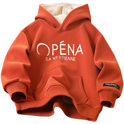 男童秋冬刺绣加绒保暖连帽卫衣