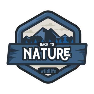 3M反光车贴nature探索装饰贴纸