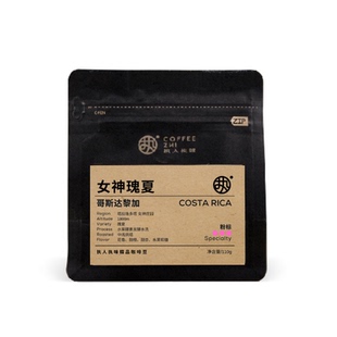 粉标【女神瑰夏】哥斯达黎加女神庄园水果酵素发酵水洗中浅黑咖啡