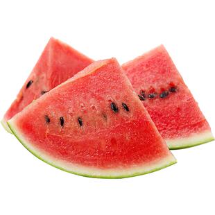 早佳8424麒麟西瓜种子种籽特大美都瓜高产春季嫁接苗秧孑大全秧苗