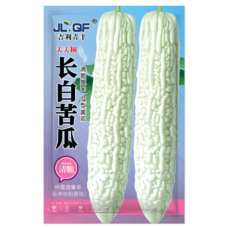 长白苦瓜种子蔬菜种子