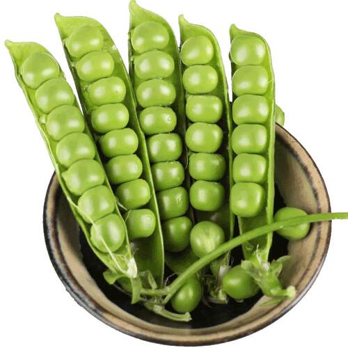 现摘新鲜豌豆云南带壳青豆角粒云南应当季农家蔬菜甜豆荚整箱包邮