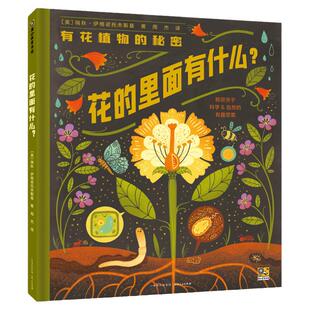 花园里的秘密花蛹巢的里面有什么 新书精装硬壳儿童绘本图画书3-6岁幼儿园小中大班儿童早教宝宝睡前故事绘本观察力认知力训练书